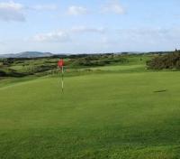The New Course